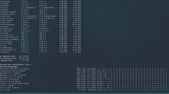 Upgrading Arch Linux using Pacman.