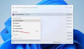 Settings option in Raycast.