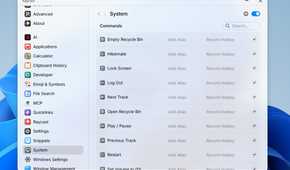 System option in Raycast.