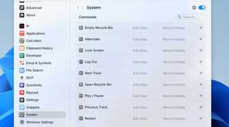 System option in Raycast.