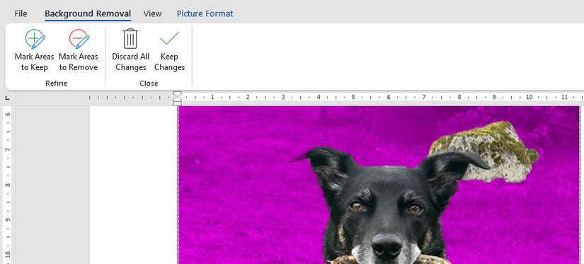 A ferramenta de remoção de fundo sendo usada na imagem de um cachorro no Microsoft Excel.