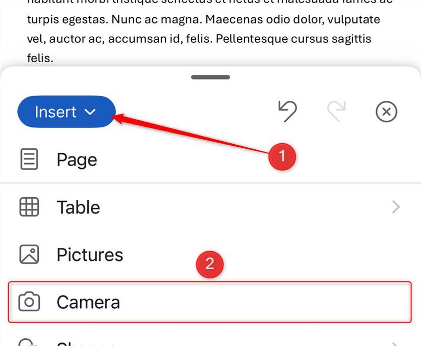 The Camera tool in the iOS Microsoft Word app.