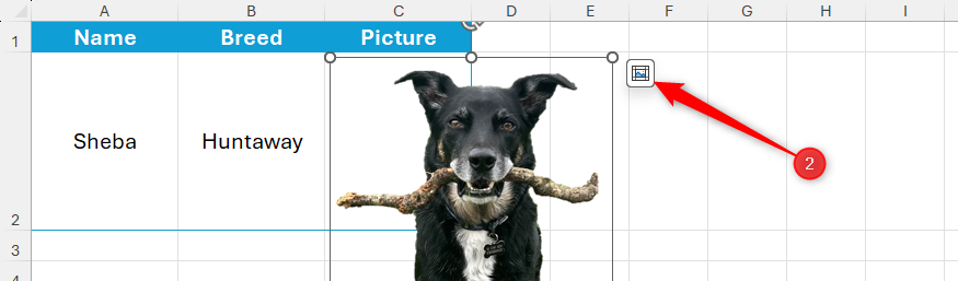 The Place In Cell icon next to a floating picture in Excel is selected.