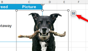 The Place In Cell icon next to a floating picture in Excel is selected.