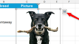 The Place In Cell icon next to a floating picture in Excel is selected.