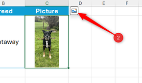 The Place Over Cells icon next to an in-cell picture in Excel is selected.