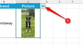The Place Over Cells icon next to an in-cell picture in Excel is selected.