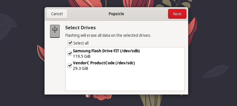 The Popsicle app for Linux showing multiple drives available for writing.