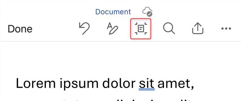 The Print View icon in the iOS Microsoft Word app.