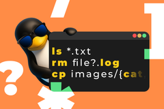 The vertical list design keeps essential apps accessible while hiding distractions