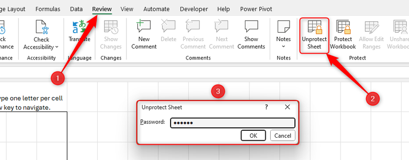 Unprotect Sheet in Excel's Review tab is selected, and a password is typed into the resultant dialog.
