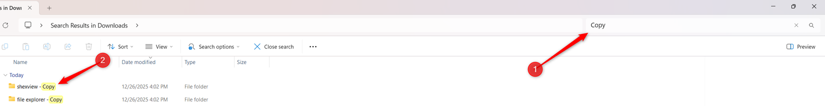 Filtering the duplicate files in the Downloads folder.