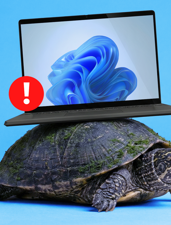 Turtle W Raspberry How I use my Raspberry Pi to keep an eye on my network traffic (and why)