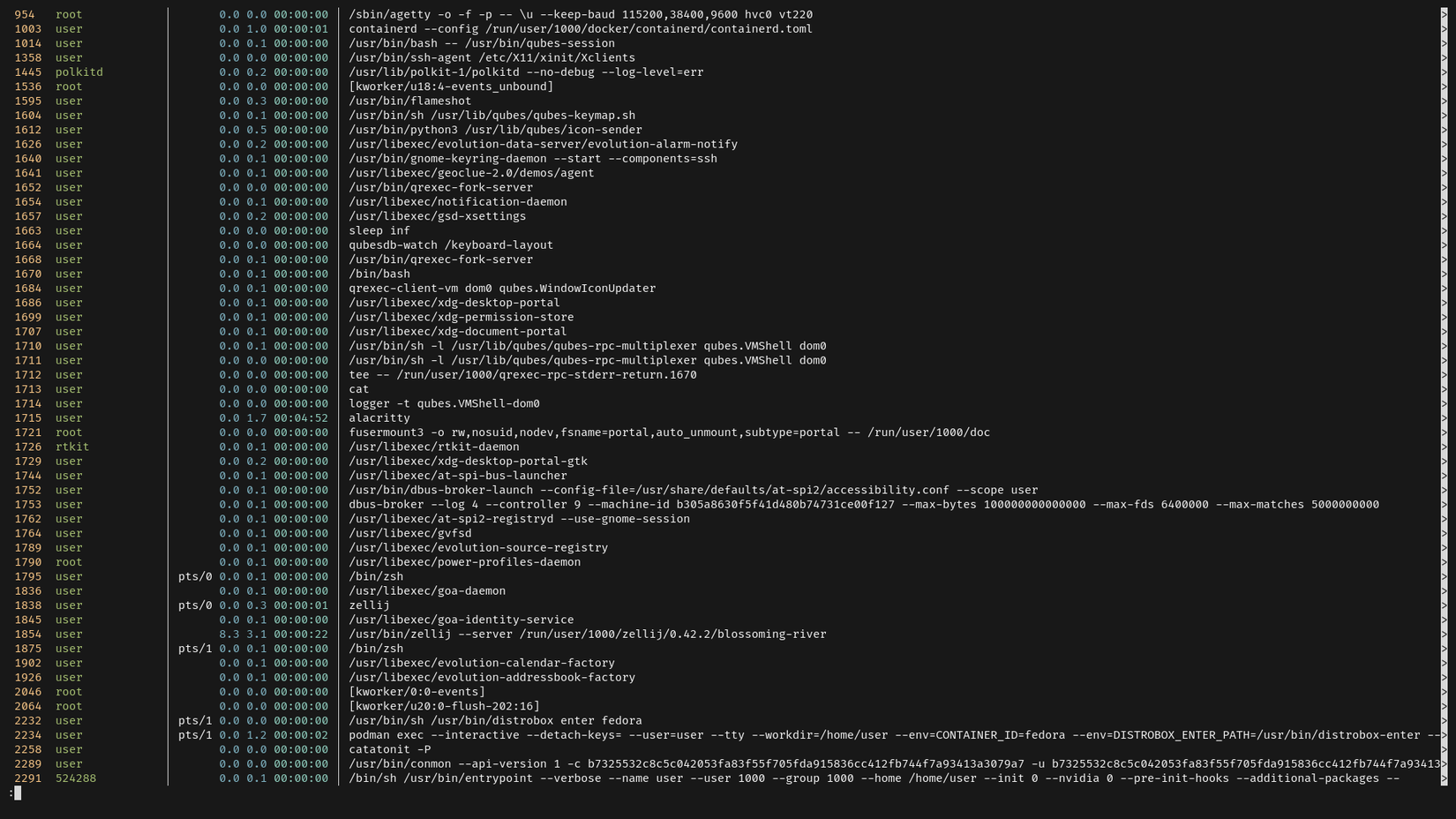 Uma janela de terminal exibe a saída do procs, mostrando uma lista colorida de processos em execução.