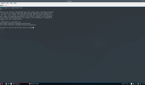 Accepting privacy policy and terms of service.