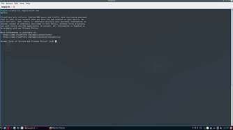 Accepting privacy policy and terms of service.