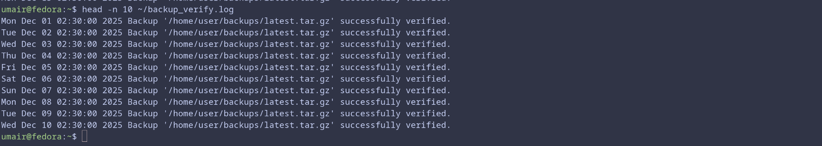 log do script do verificador de backup