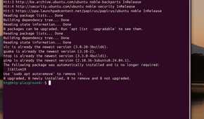 How to string commands and install multiple packages in the Linux terminal-command-string-exampl-4