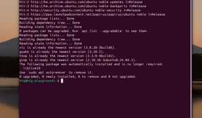 How to string commands and install multiple packages in the Linux terminal-command-string-example 1