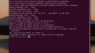 How to string commands and install multiple packages in the Linux terminal-command-string-example 1