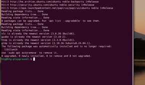 How to string commands and install multiple packages in the Linux terminal-command-string-example 2