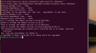 How to string commands and install multiple packages in the Linux terminal-command-string-example 2