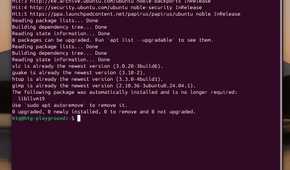 How to string commands and install multiple packages in the Linux terminal-command-string-example 3