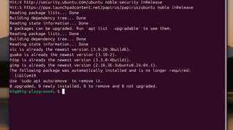 How to string commands and install multiple packages in the Linux terminal-command-string-example 3