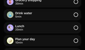 The visual planner on Tiimo detailing tasks for the day.