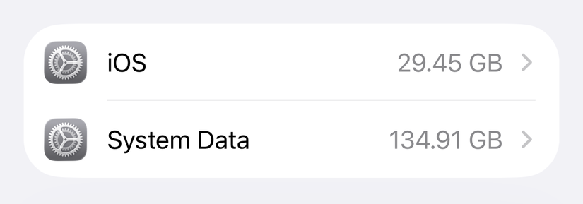 Dados do sistema do iPhone exibidos como 134,91 GB.