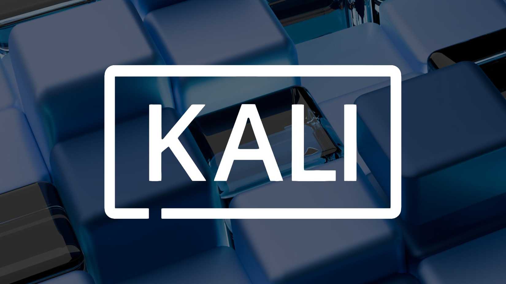 Kali Linux logo