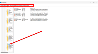 A list of all startup apps in the Registry Editor.