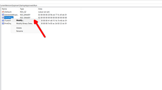 Modifying the registry entry for the Everything app.