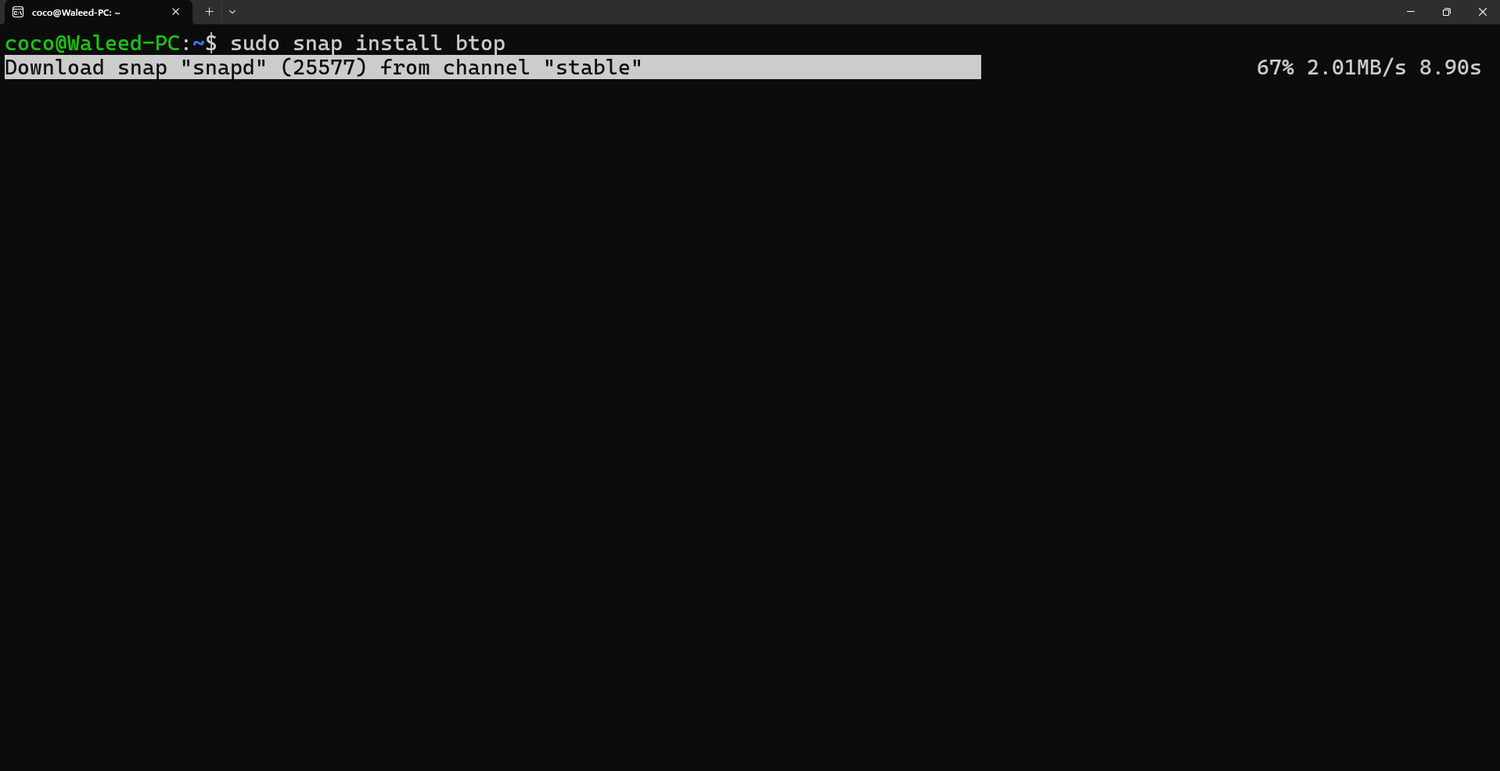 Installing Btop++ using the terminal.