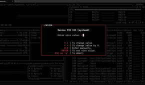 Renice processes with Btop++.