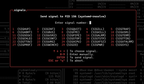Btop++ process signals.