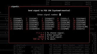 Btop++ process signals.