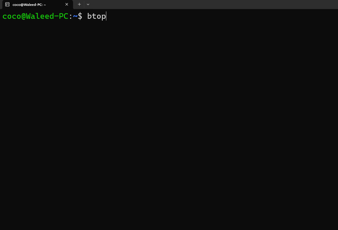 Launching Btop++ from the terminal.