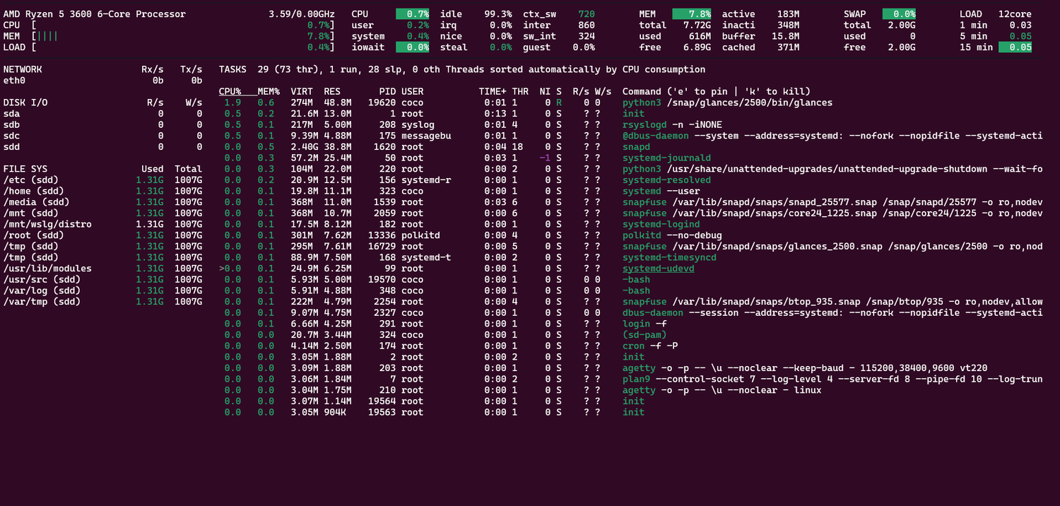 The Glances dashboard.
