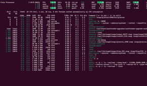 The Glances dashboard.
