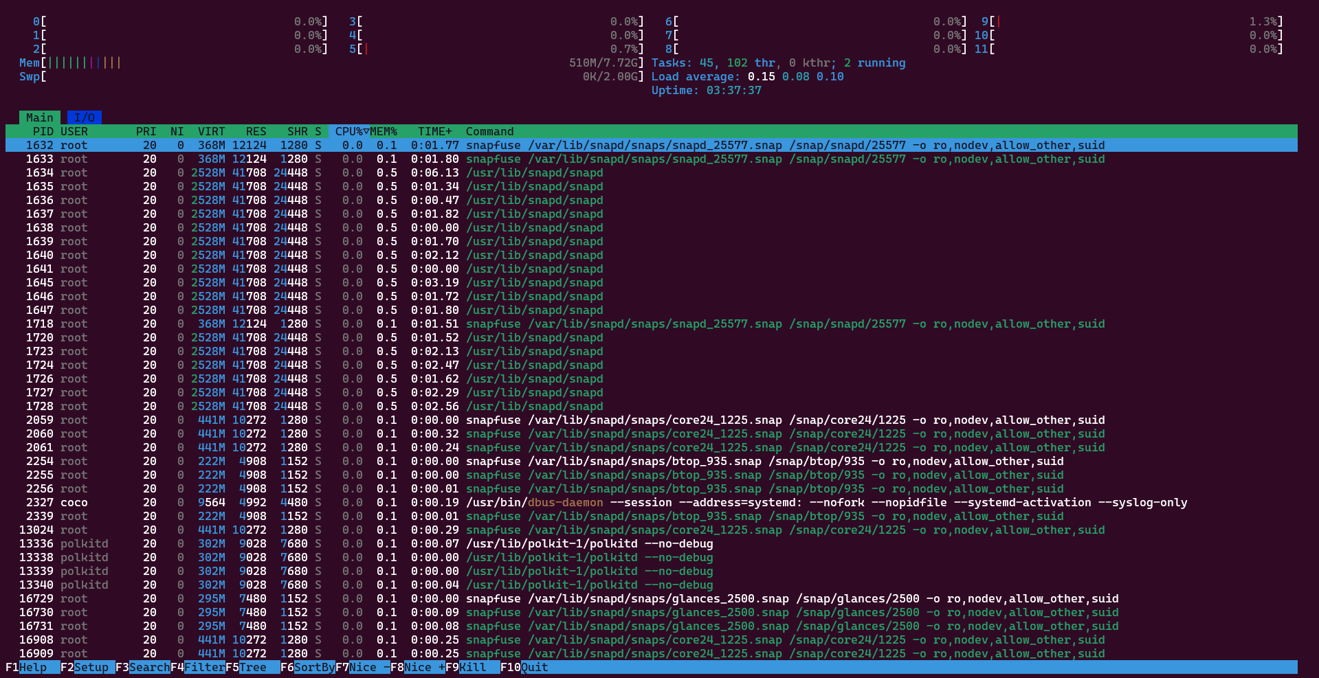 Htop in action.