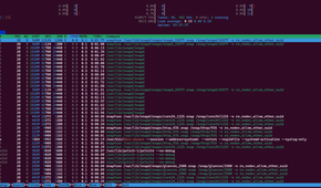 Htop in action.