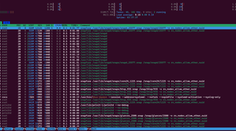 Htop in action.