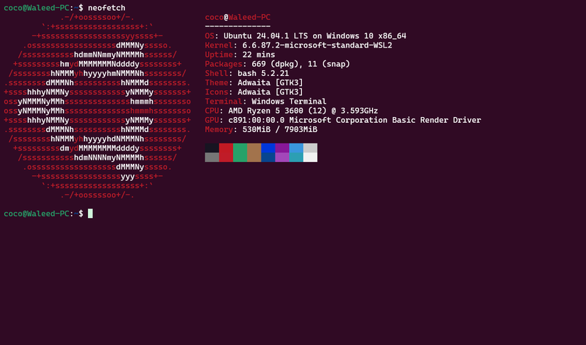 Executando Neofetch em um WSL.