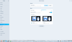 ZorinOS mouse settings.