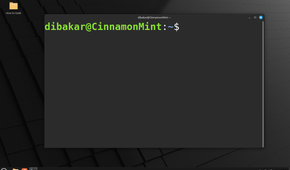 Linux Mint Cinnamon terminal showcase.