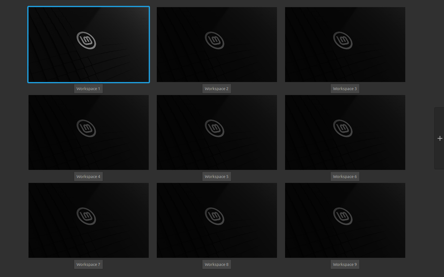 Linux Mint Cinnamon virtual desktop switcher.