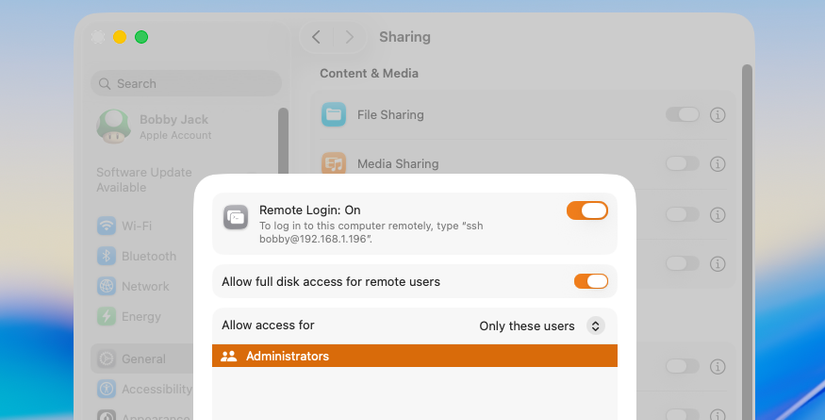 A macOS settings dialog showing sharing options with remote connection enabled. 