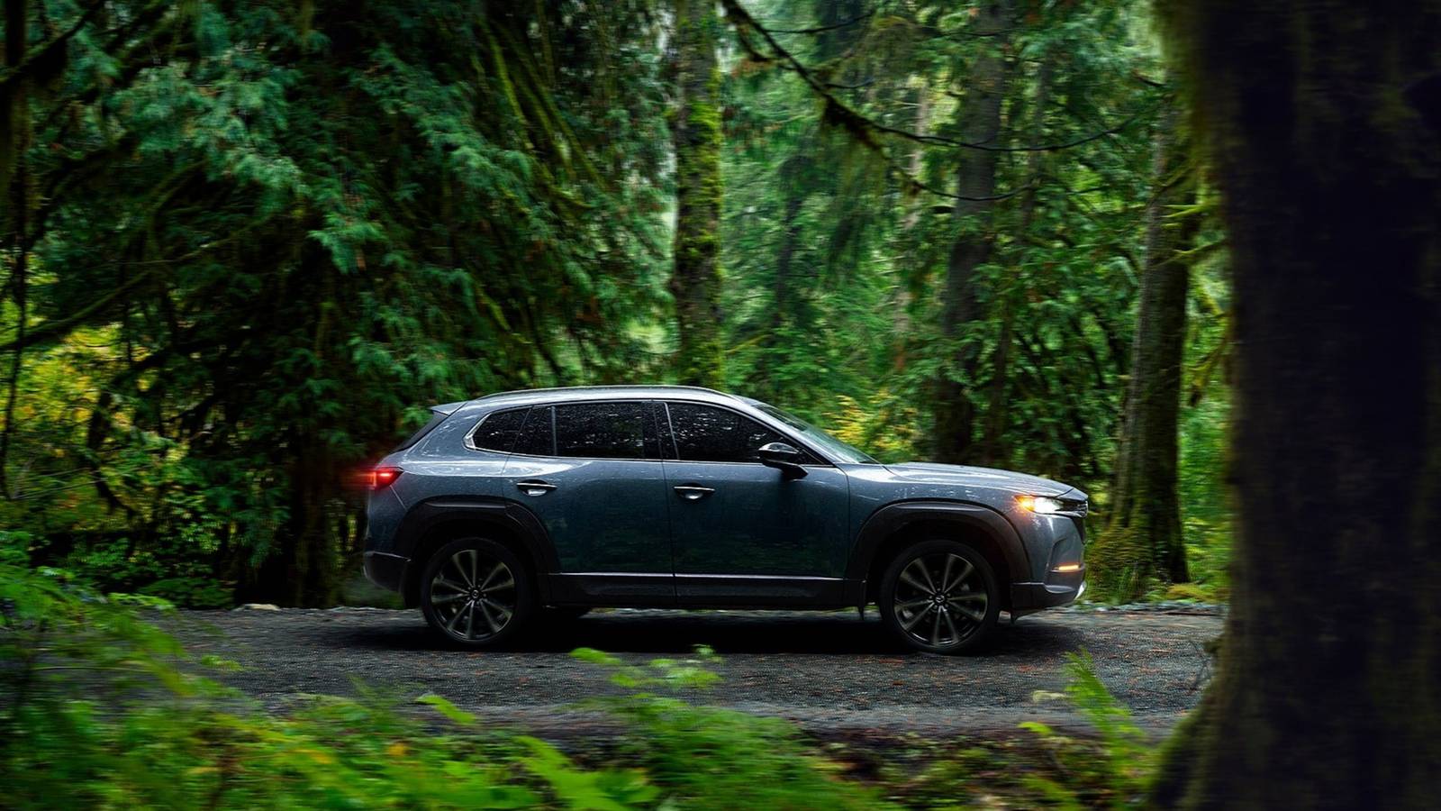 This SUV offers German levels of performance at Japanese prices