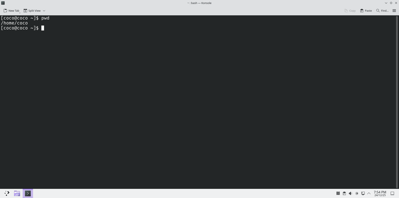 O comando 'pwd' em ação.